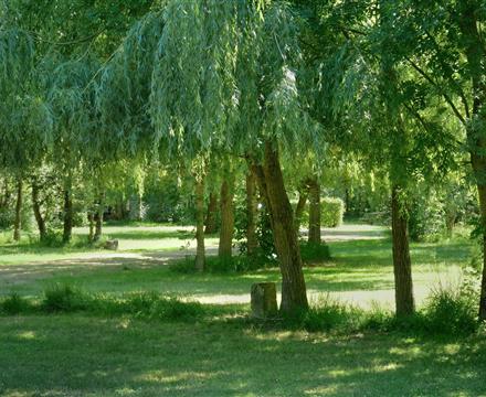 Camping La clé des Champs Luçon