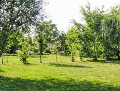 campsite'picht